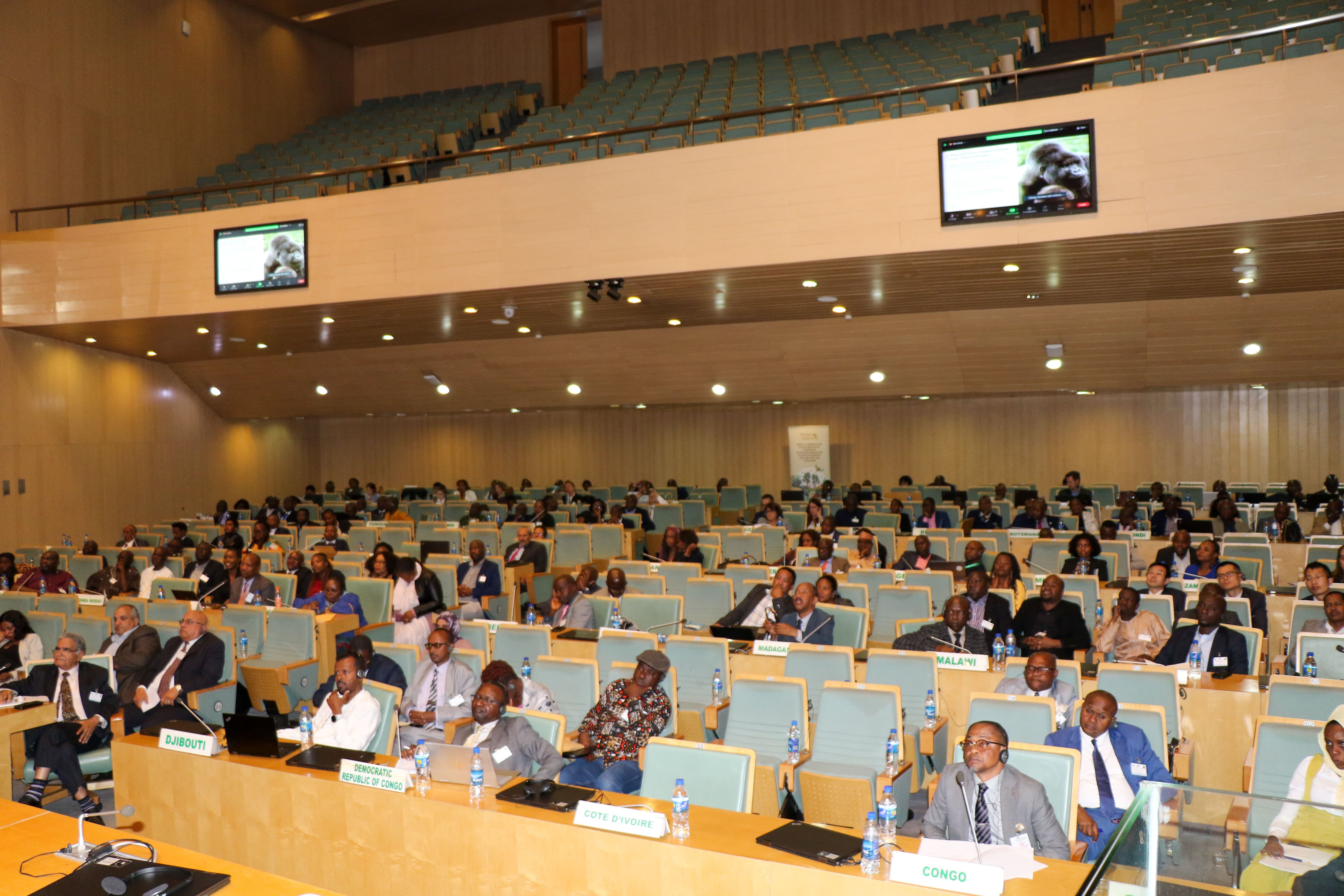 Image for news article titled: ACBA Closing Statement during the CBD and CITES AU Conference in Addis Ababa